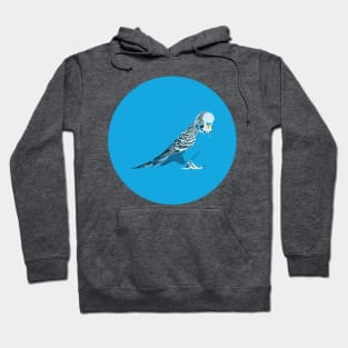 Budgie Hoodie